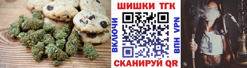 Купить закладки  Циолковский  Печенье с ТГК марихуана 