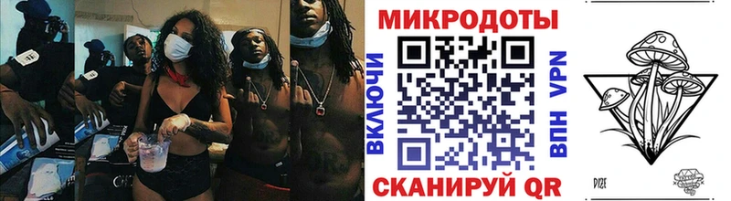 Купить где Циолковский Галлюциногенные грибы Cubensis